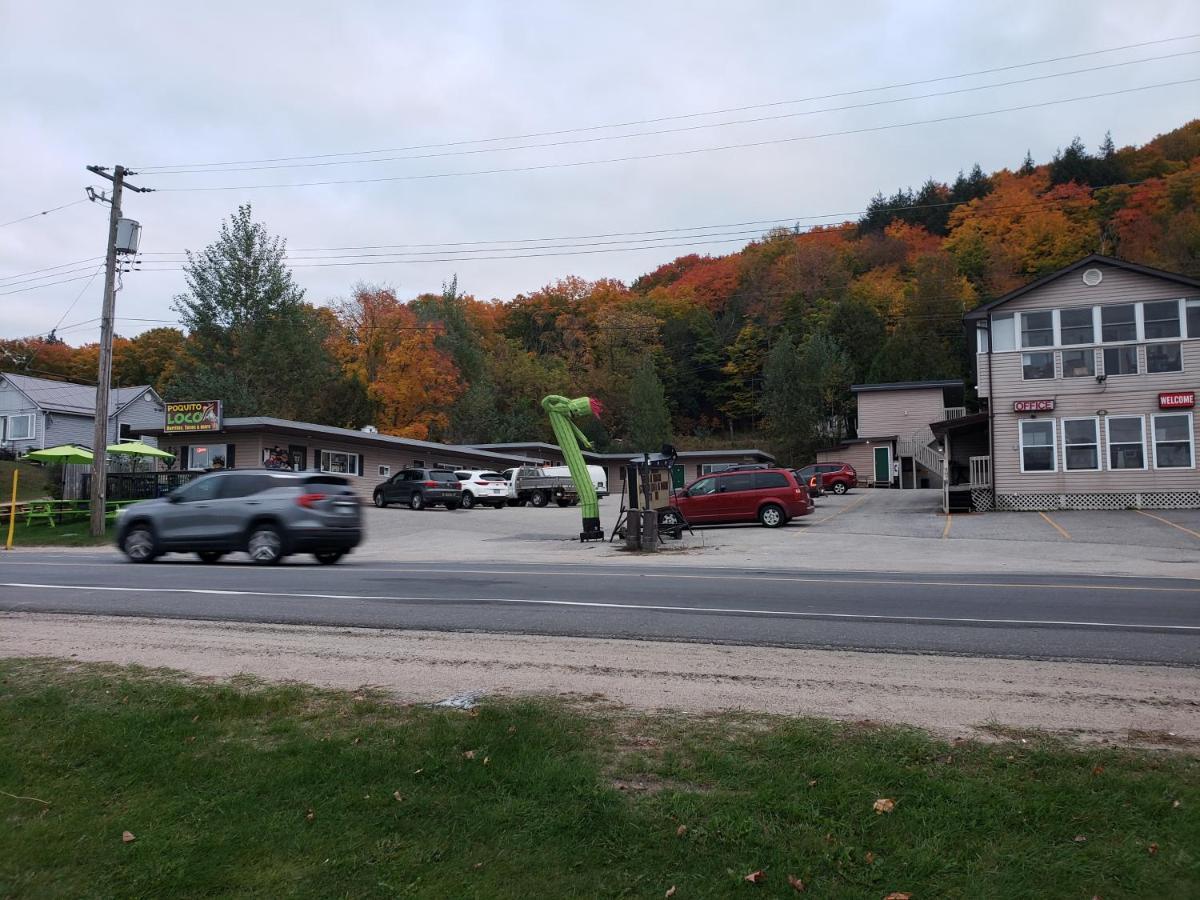 Silver Maple Motel Халибертон Экстерьер фото
