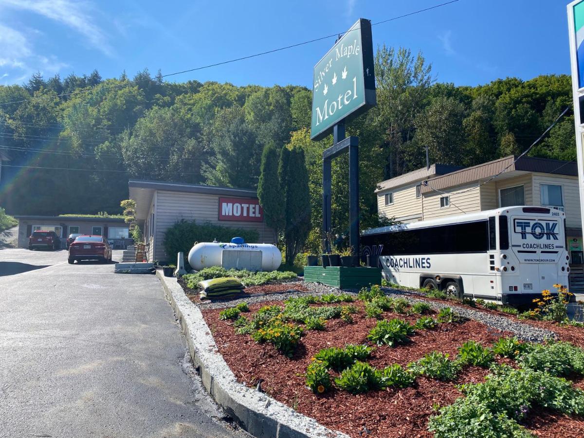 Silver Maple Motel Халибертон Экстерьер фото